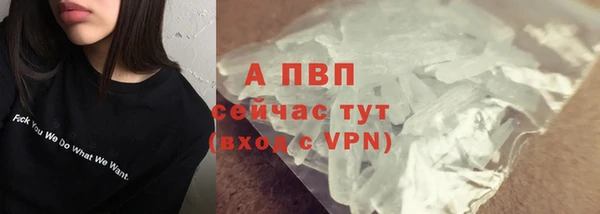 сатива Волосово