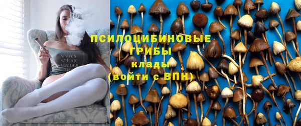 сатива Волосово
