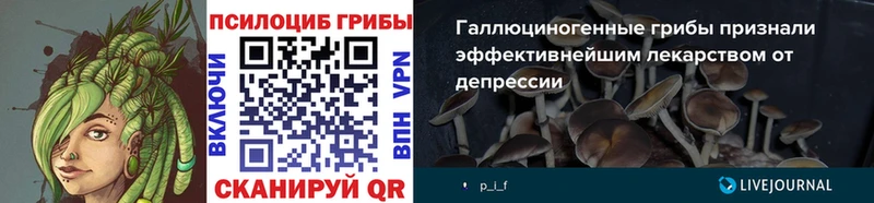 Галлюциногенные грибы Magic Shrooms  где найти наркотики  Павлово 